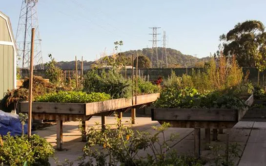 wheelchair accessible beds