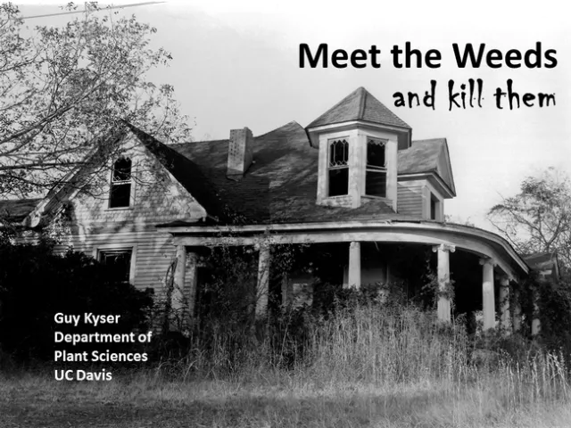 Kyser - City of Davis talk