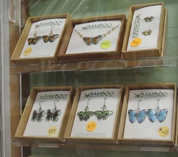 Insect jewelry is popular at the Bohart Museum. Proceeds are earmarked for educational efforts. (Photo by Kathy Keatley Garvey)