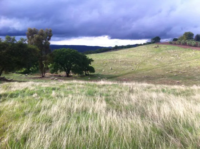 1958346_826664110695251_388138194_n