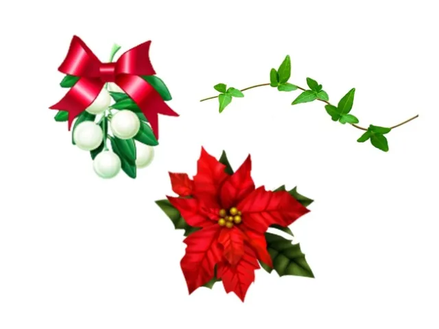 Mistletoe, ivy and poinsettia