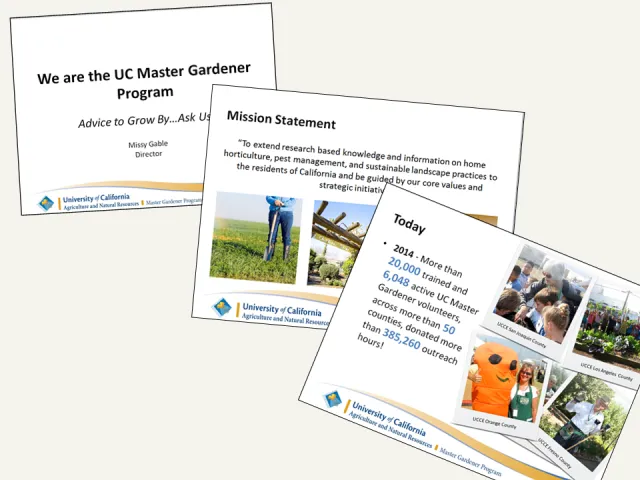 3 Slides for the Sprouting Kit