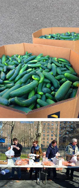 Food Bank Volunteers and cucumbers
