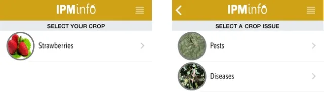 2-3 Home and Select issue