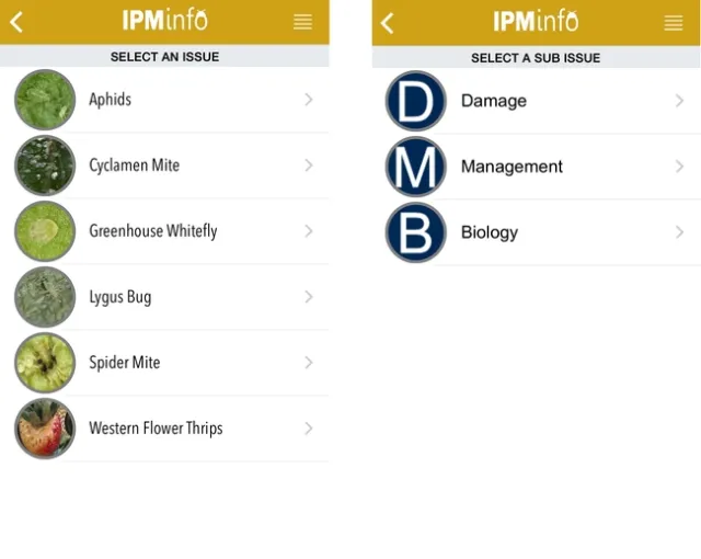 4-5 Pests and Sub issues