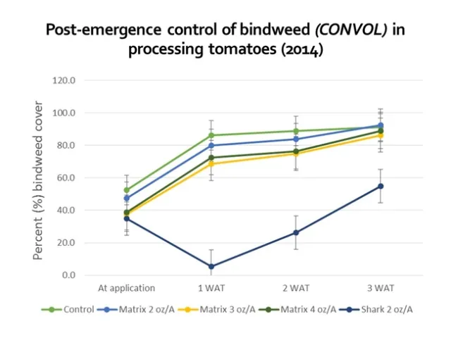 Bindweed POST 2