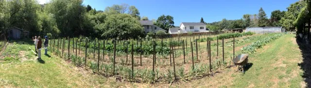 Local farmer tells visitors about her Community Supported Agriculture (CSA) farm stand
