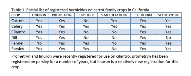 Table 1. Partial list of registered herbicides on carrot family crops in California