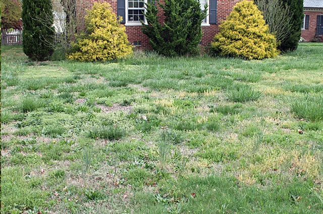 Click photo for enlargement