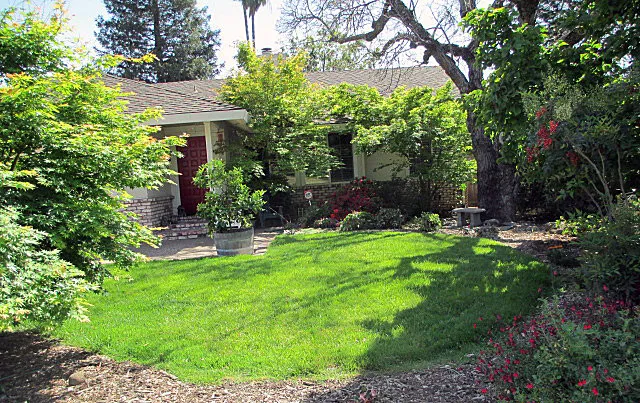 The lawn to be removed before.