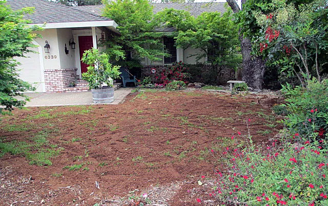 Compost layer over existing turf. Day 1.
