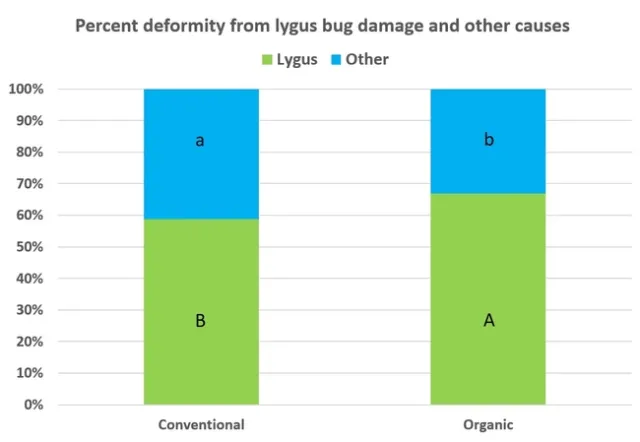 Lygus and non-lygus deformity graph