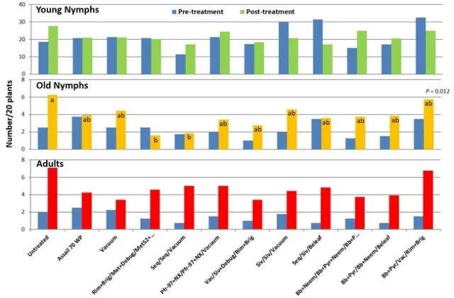 Lygus nymphs and adults