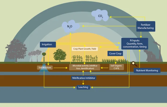 Graphic of nitrous oxide emissions from California agricultural soils above and below ground