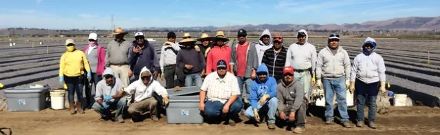 Manzanita field crew