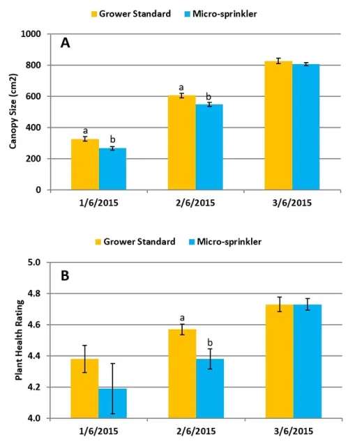 6 Canopy size and health