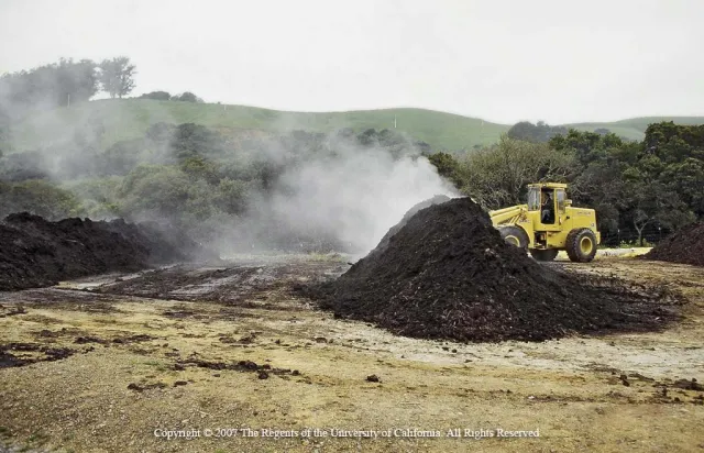Photo of compost windrow