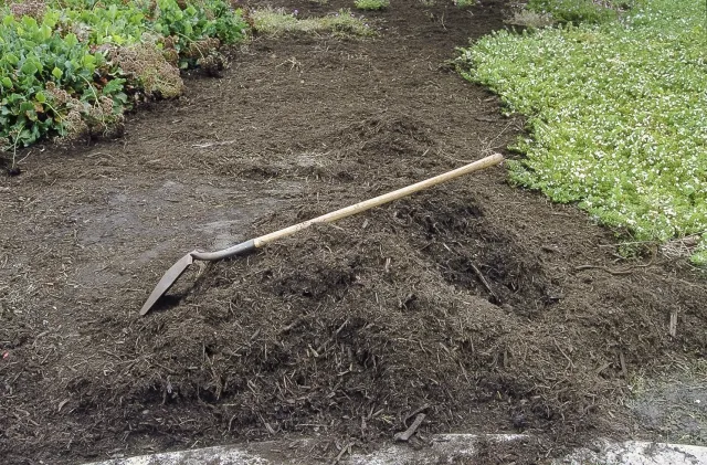Photo of shovel lying on top of compost pile