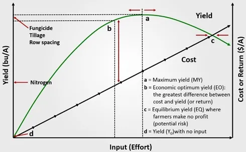 Economic optimum vs. maximum yield. From Lauer (2015).