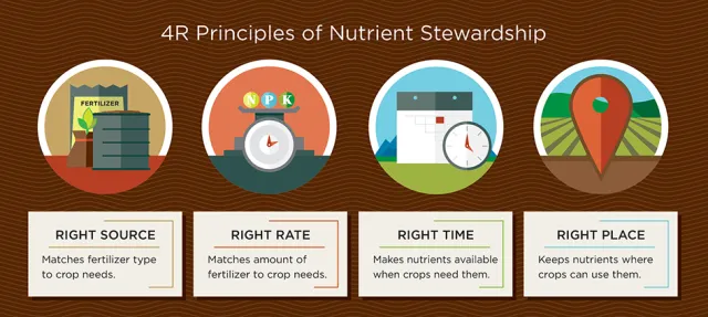 The 4Rs of nutrient management. From NutrientStewardship.com.