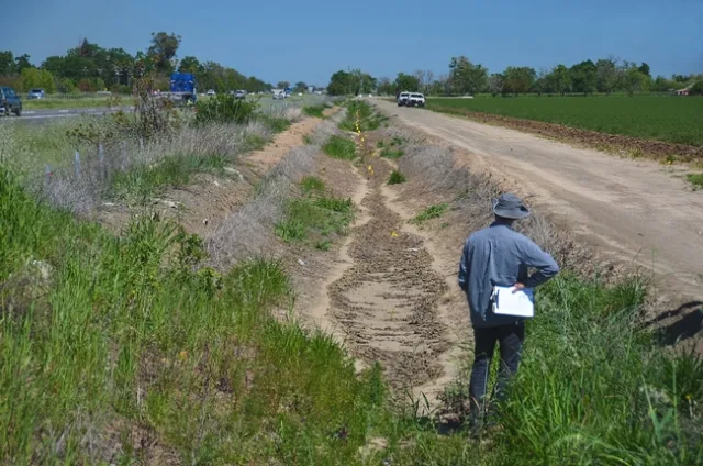 View of canal treatments
