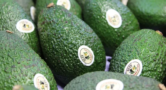 Copyright © 2016 California Avocado Commission