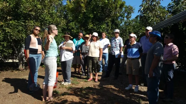 Macadamia Field Day 2015