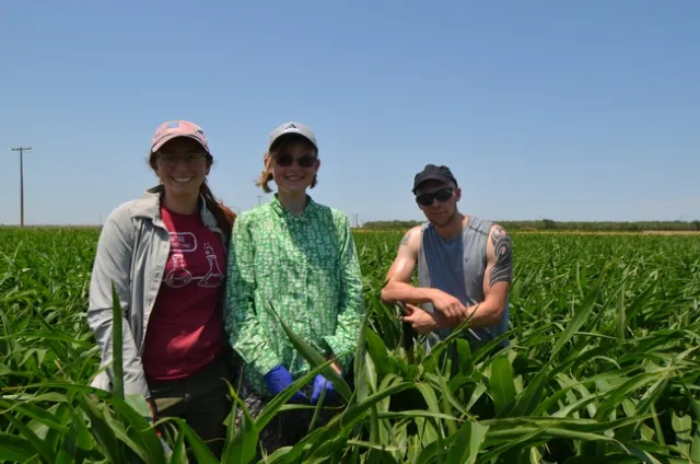 UC Berkeley students sample soil microbiome in NRI field.