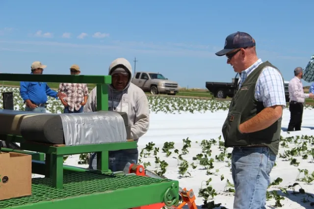 Chris Waldron, Plantel