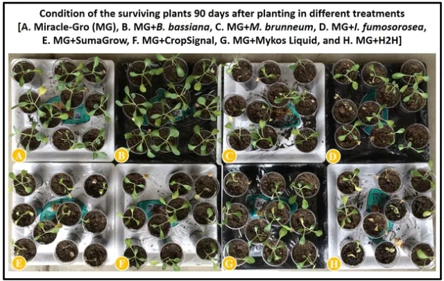 Plant growth and survival-Surendra Dara