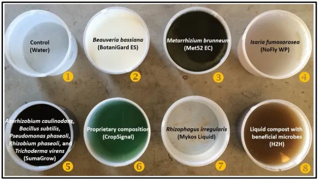 Treatments-Surendra Dara