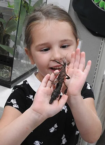 Mia Brown, 5, of Folsom, delights in holding a walking stick. (Photo by Kathy Keatley Garvey)