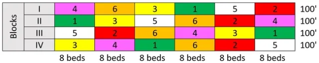 Celeriac-aphids-experimental design
