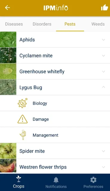 Pest-overview