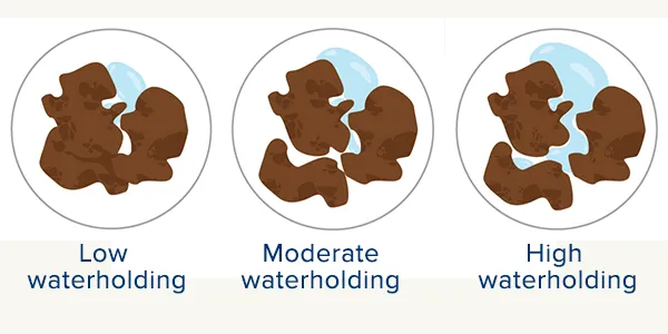 Image of soil with low, moderate, and high waterholding capacity