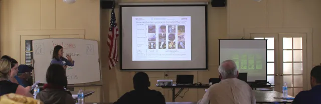 presentation horizontal