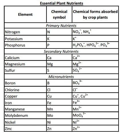 Essential Crop nutrients