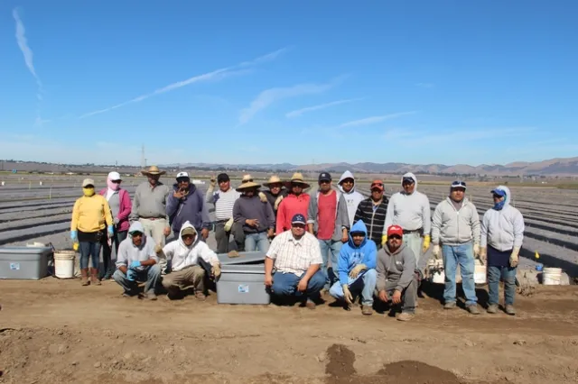 Manzanita Berry Farms field crew