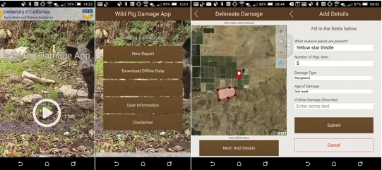 WildPigAppScreenShots