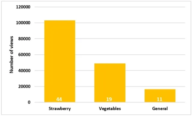 Strawberries and Vegetables 1