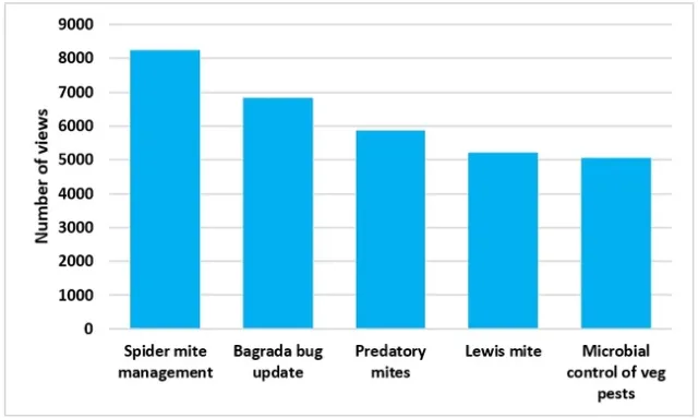 Strawberries and Vegetables-Articles