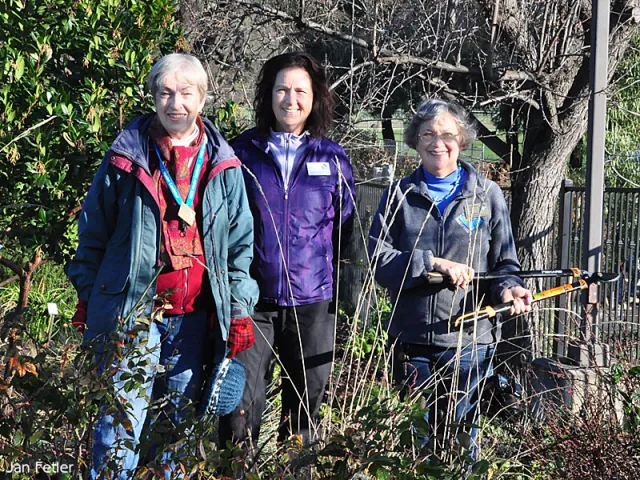 Master Gardeners and the winter WEL