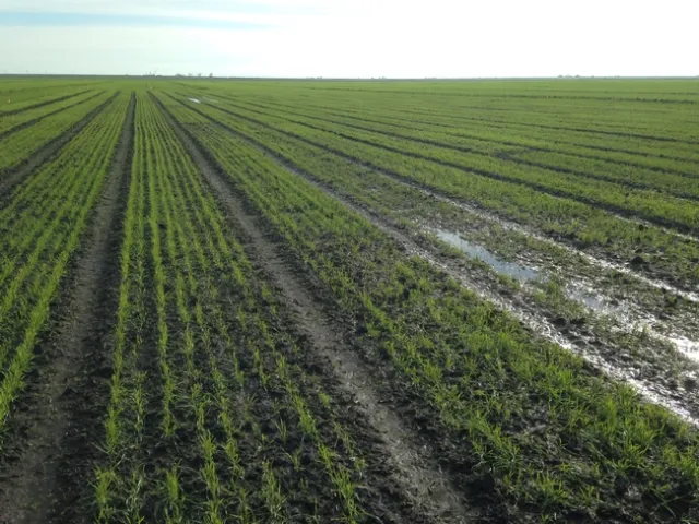 StandingWater Delta 1l6l17