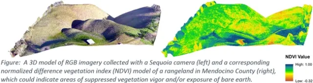 Parrot Sequoia RGB NDVI Mendocino