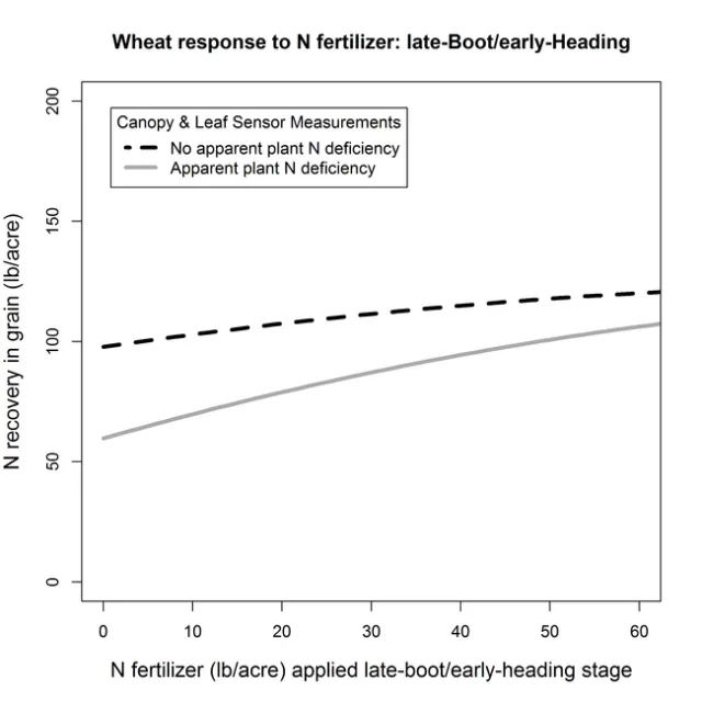 Boot N response Grain N
