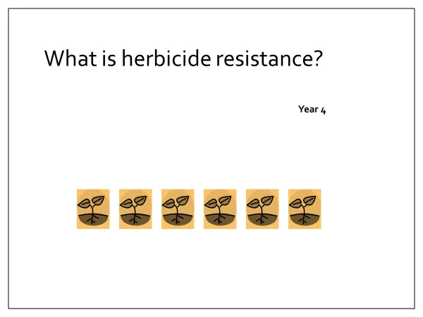 Year 4, Beginning of season