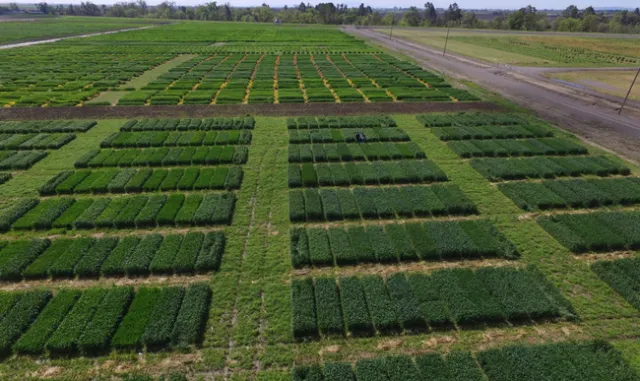 UC Field Day, May 11th 2017