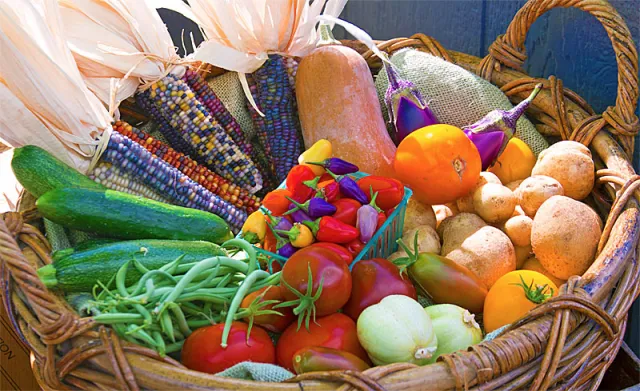 Summer Harvest. Click to enlarge