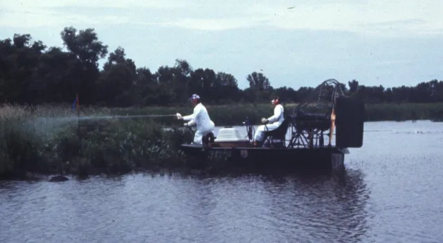 Foliar application of herbicides to purple loosestrife in Minnesota