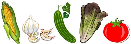 Summer and winter vegetables